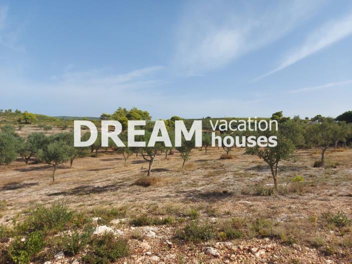 Image No.9-Terrain à vendre à Zante