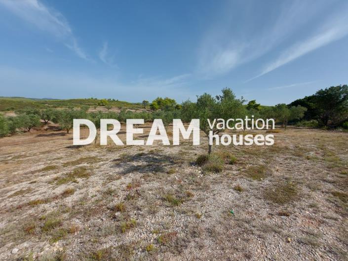 Image No.12-Terrain à vendre à Zante