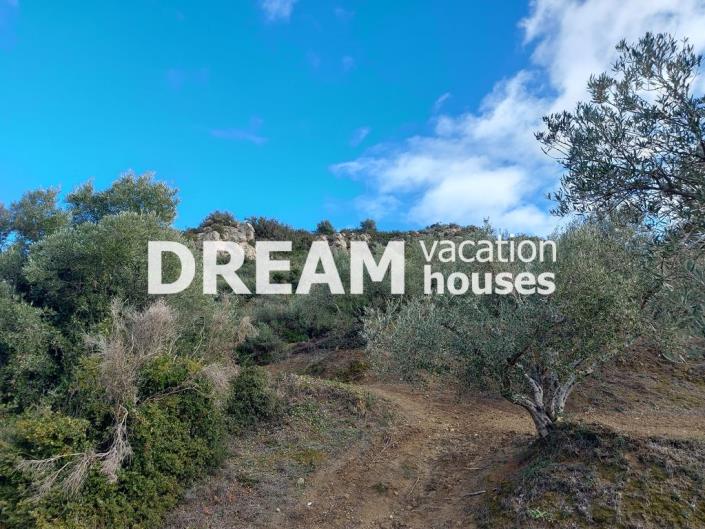 Image No.4-Terrain à vendre à Zante