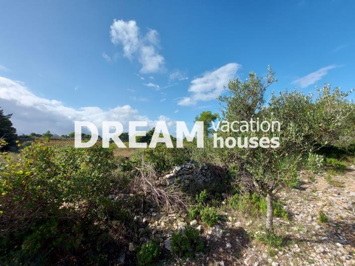 Image No.6-Plot for sale