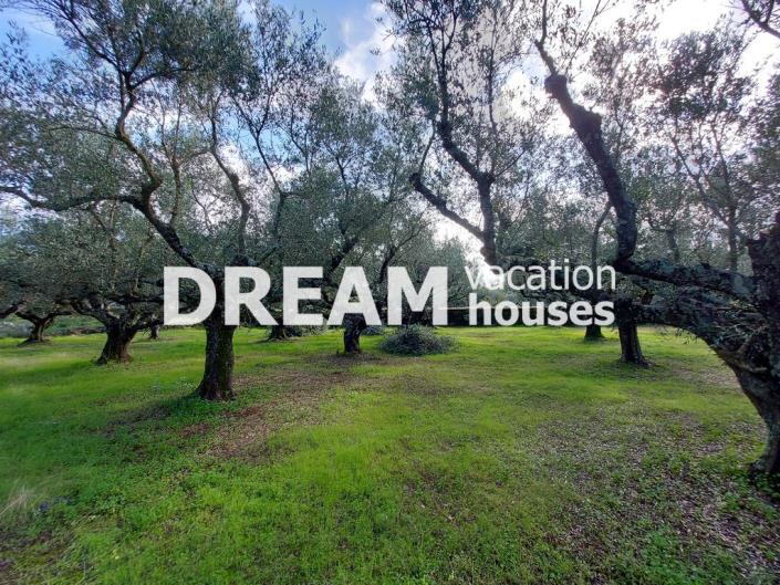 Image No.8-Plot for sale