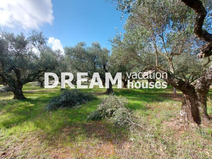 Image No.10-Plot for sale