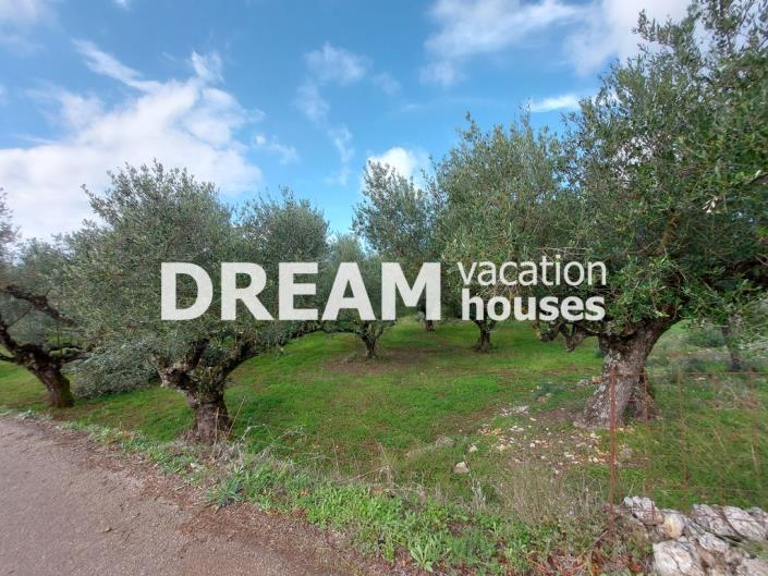 Image No.13-Plot for sale