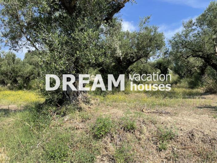 Image No.6-Plot for sale