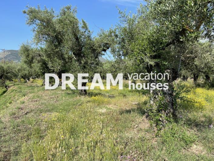 Image No.10-Plot for sale