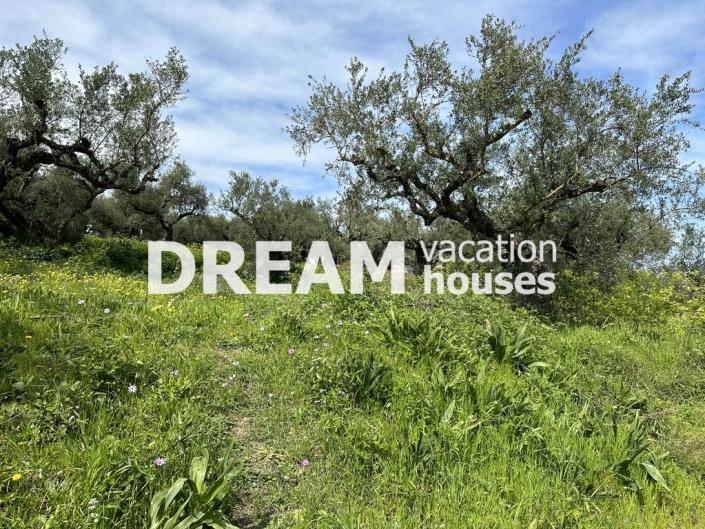 Image No.8-Terrain à vendre à Zante