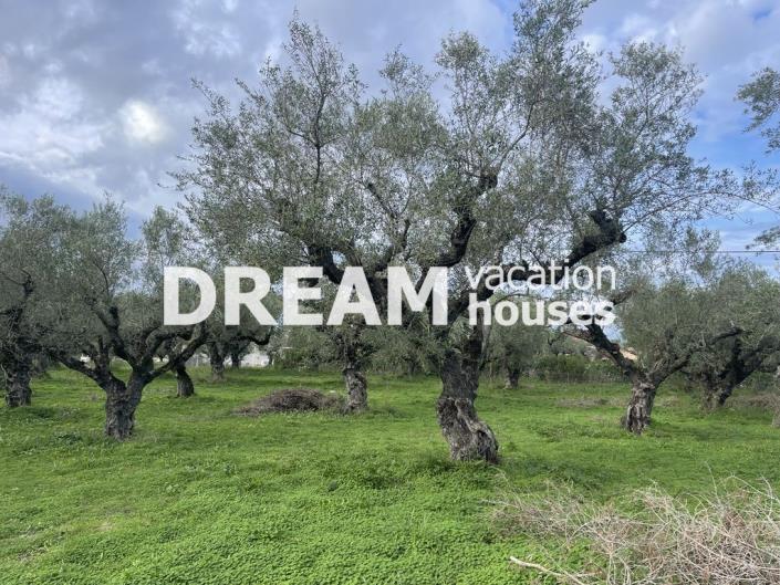 Image No.12-Plot for sale