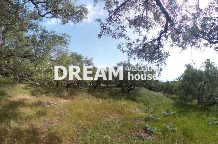 Image No.2-Plot for sale