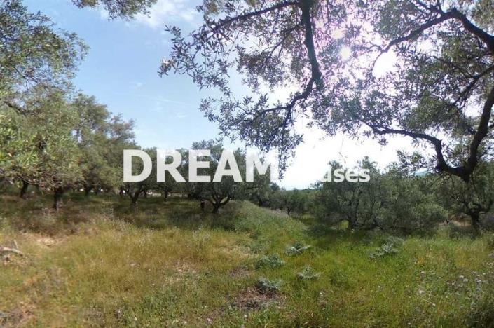 Image No.1-Plot for sale