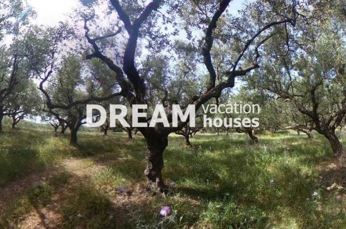 Image No.7-Plot for sale