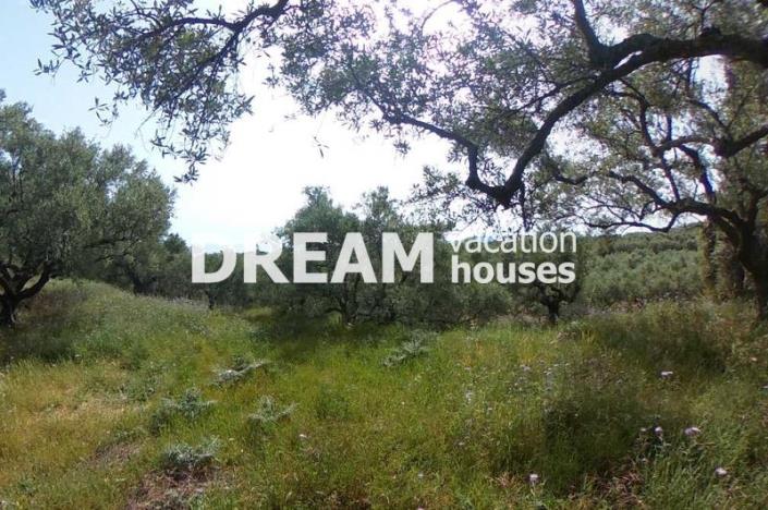 Image No.4-Terrain à vendre à Zante