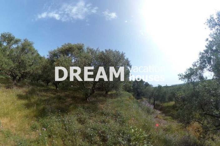 Image No.5-Terrain à vendre à Zante