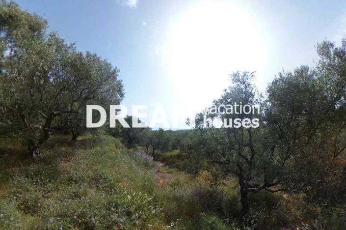 Image No.6-Terrain à vendre à Zante