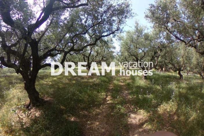 Image No.7-Terrain à vendre à Zante