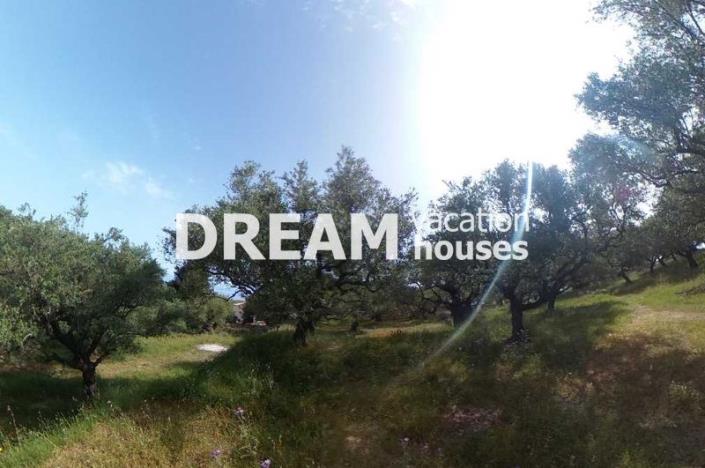 Image No.10-Terrain à vendre à Zante