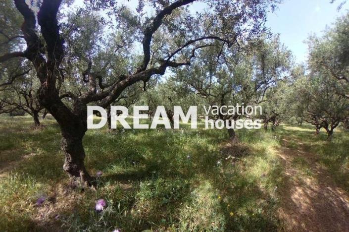 Image No.9-Terrain à vendre à Zante