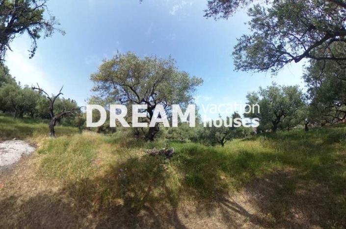 Image No.12-Terrain à vendre à Zante