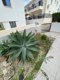 Apartment For Rent  in  Kato Paphos - Tombs of The Kings