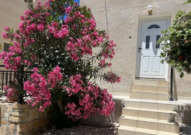 Apartment For Sale  in  Select Location
