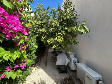 Ground Floor Apartment For Rent  in  Mandria