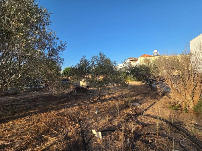 Image No.14-2 Bed Land for sale