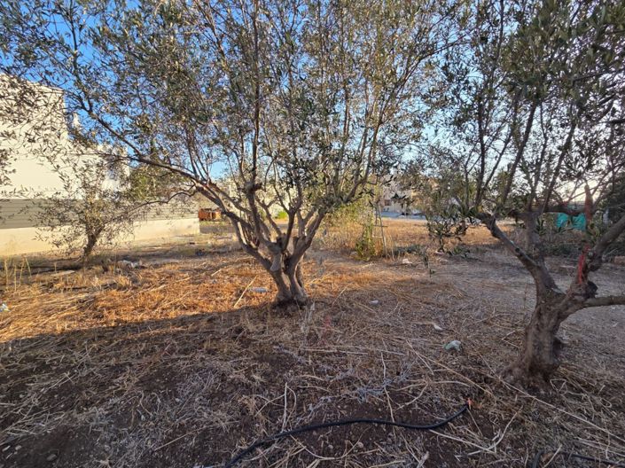 Image No.16-2 Bed Land for sale