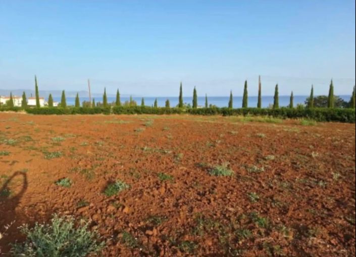 Image No.2-Terre à vendre à Paphos