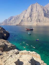742ed136-a948-4b09-9629-8d7baa9a2f52