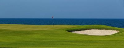 63a8fa39-d3fa-4adc-97bd-900ee8ada166