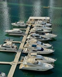 6daa628e-068e-4cb3-b870-1be8c77843fa