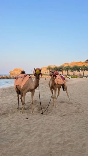 Image No.9-Appartement de 1 chambre à vendre à 