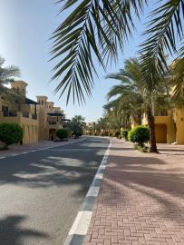 ea14ab4b-b0df-43fa-abbc-7cf1b5950248