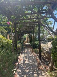 Tala-House-5