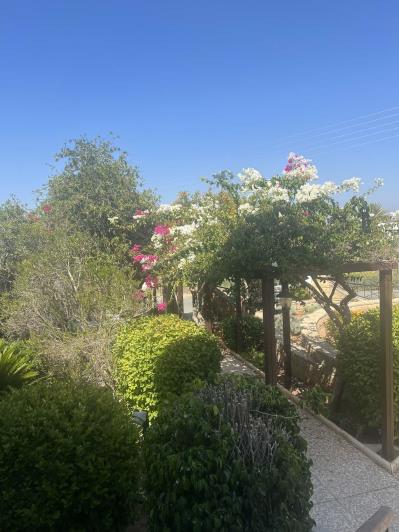 Image No.9-Maison / Villa de 4 chambres à vendre à Tala