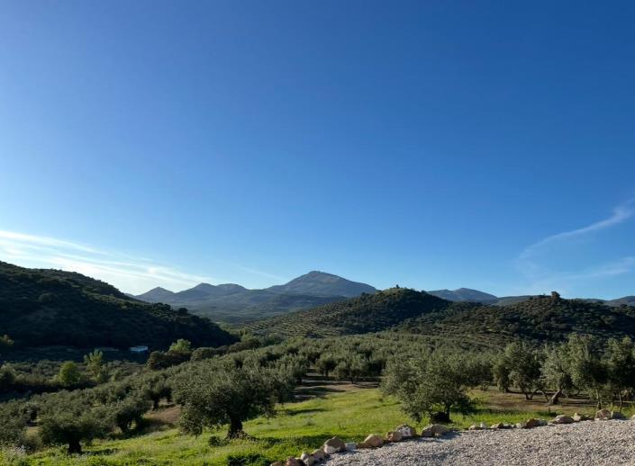 Image No.3-4 Bed Cortijo for sale