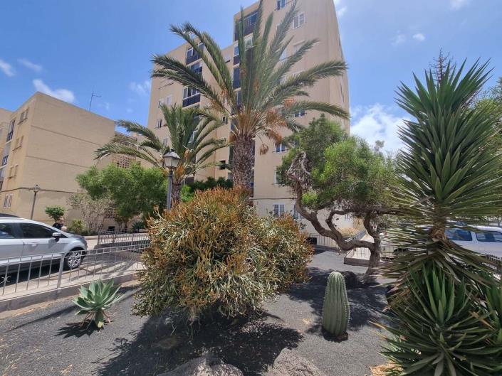 Image No.13-Appartement de 4 chambres à vendre à Arrecife