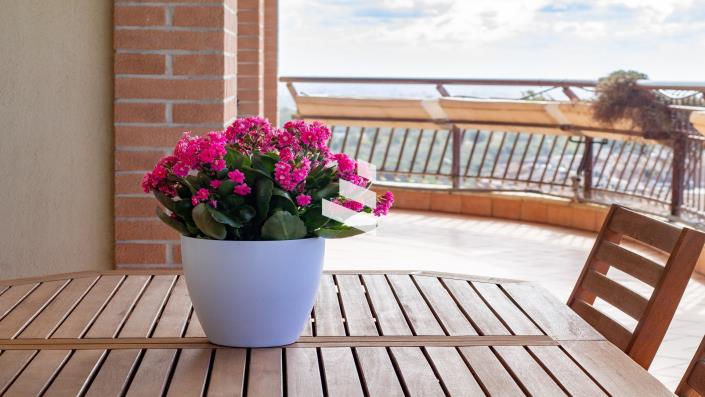 Image No.21-Appartement de 2 chambres à vendre à Pomezia