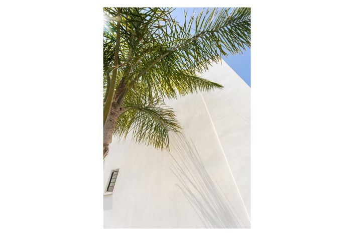 Image No.31-Penthouse de 2 chambres à vendre à Torre de la Horadada