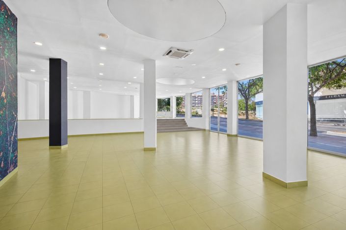 Image No.8-Commercial for sale