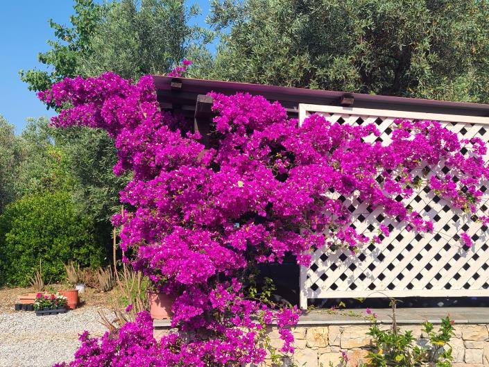 Image No.11-Maison / Villa de 3 chambres à vendre à Alonnisos