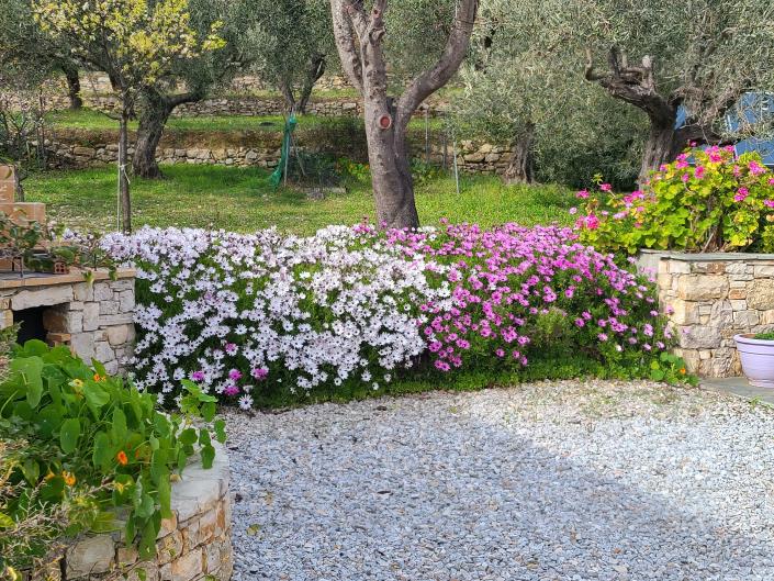 Image No.15-Maison / Villa de 3 chambres à vendre à Alonnisos