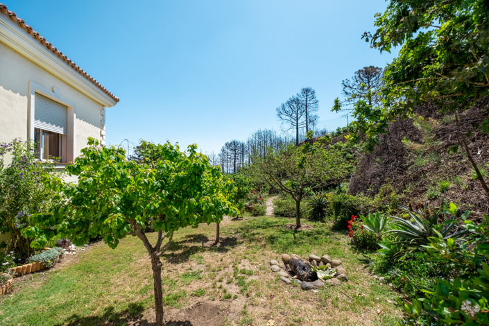 Image No.30-7 Bed Finca for sale