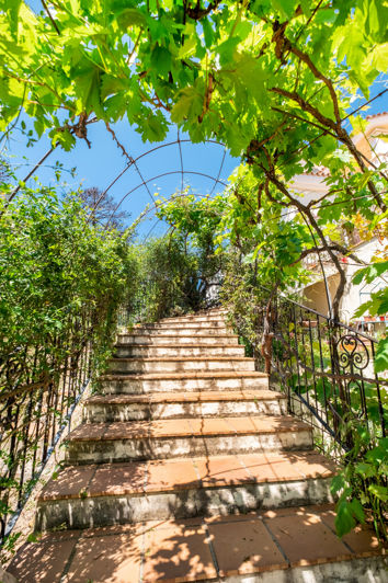 Image No.6-7 Bed Finca for sale