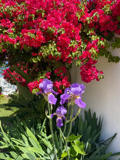 Image No.27-4 Bed Villa for sale