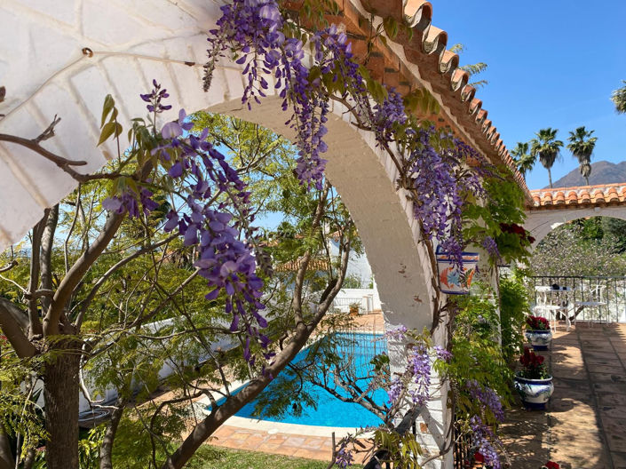 Image No.38-4 Bed Villa for sale