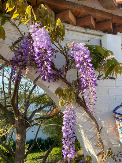 Image No.45-4 Bed Villa for sale