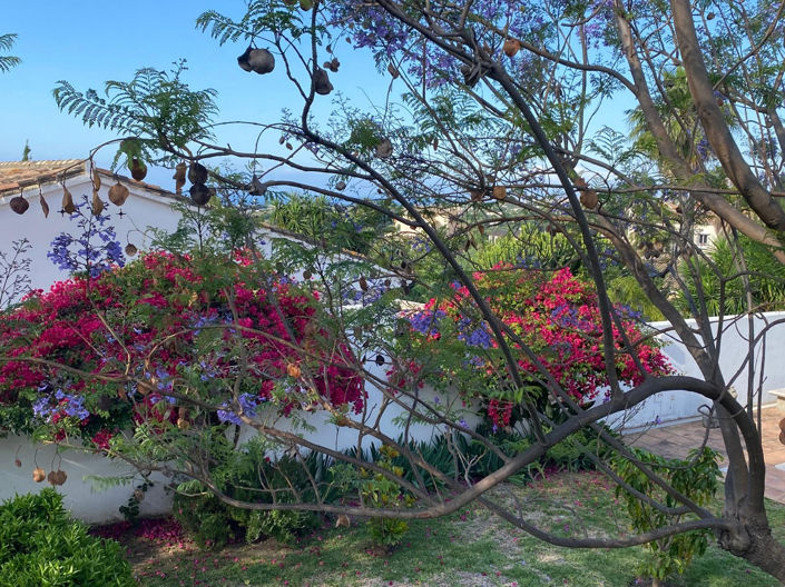 Image No.50-4 Bed Villa for sale