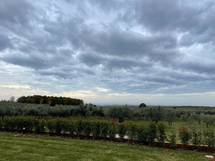 Image No.2-Property for sale