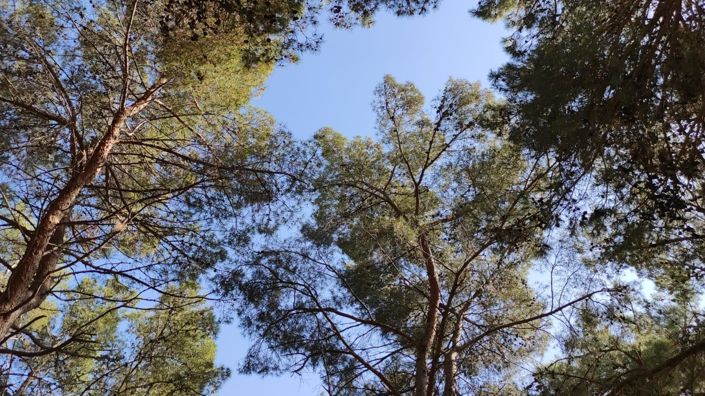 Image No.5-Propriété à vendre à Porec