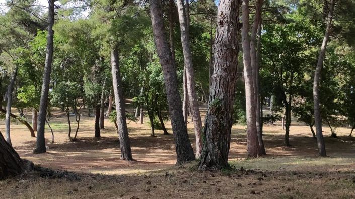 Image No.7-Propriété à vendre à Porec